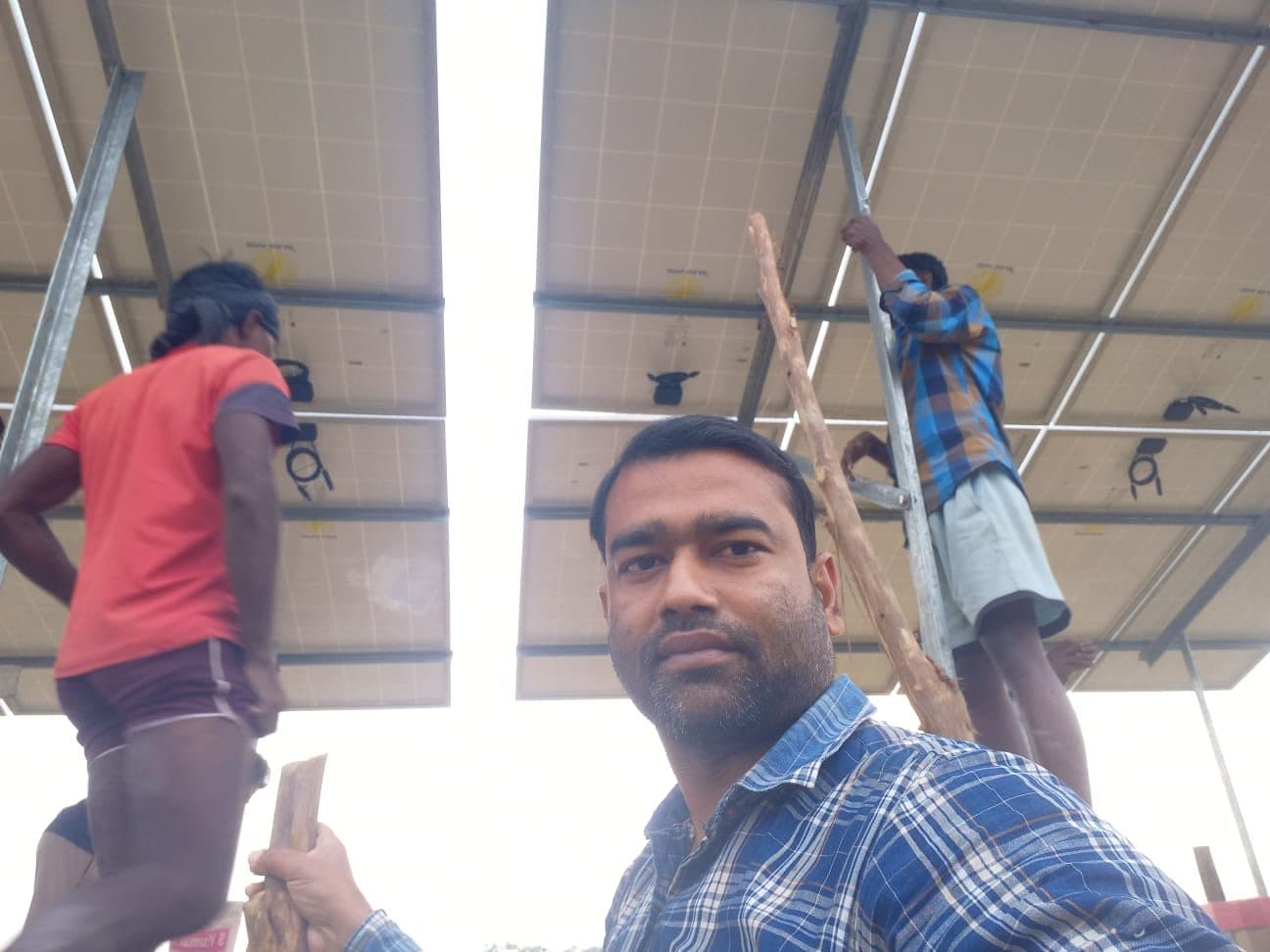 মাঠে সোলার প্যানেল বসানো।